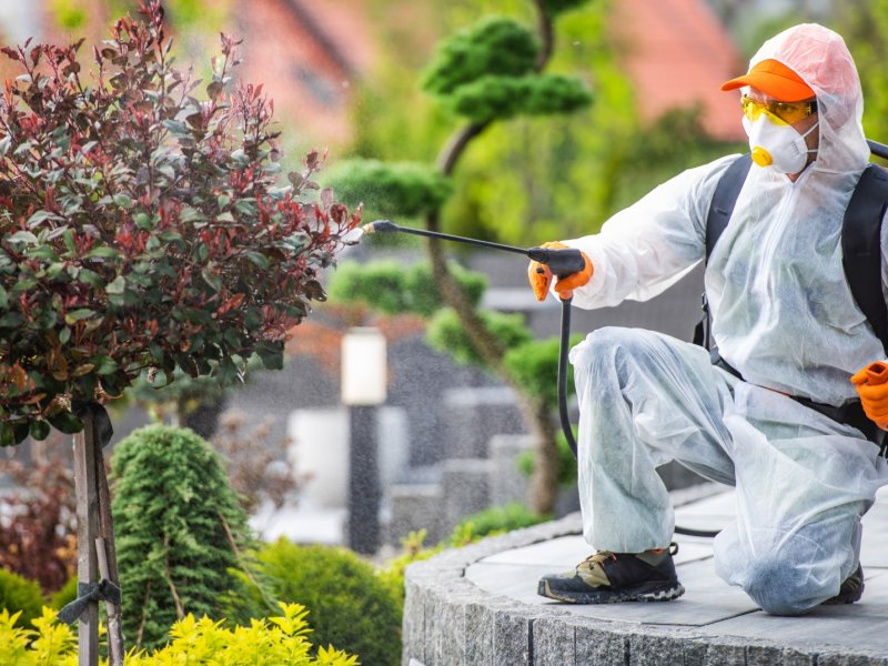 Özbek Haşere İlaçlama